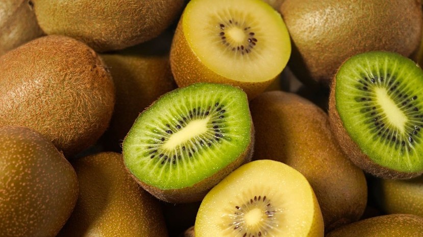 Bea kiwi quitosano fotoactivo.jpg